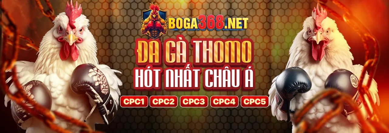Các tính năng nổi bật của nền tảng Hi8 Uy Tín